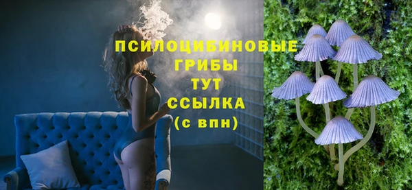гашик Наволоки