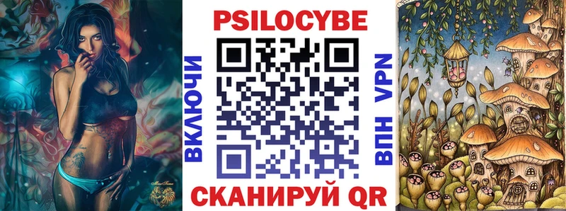 как найти наркотики  Ладушкин  Псилоцибиновые грибы Cubensis 