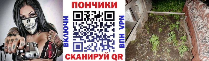 Канабис конопля  цена   Ладушкин 